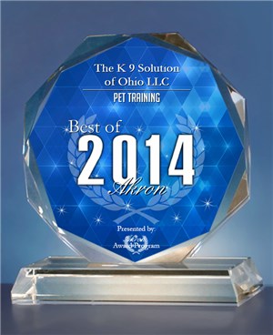 Best of 2014 Akron glass award for pet training
